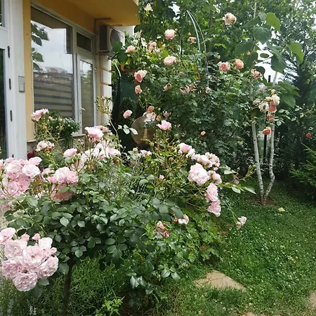 Zanier 3* Nesebar